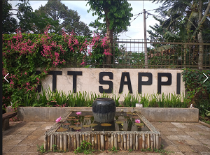 Asisten Perpustakaan