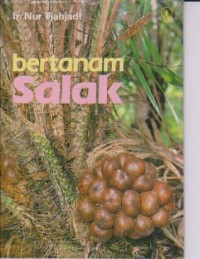 Image of Budidaya Salak Pondoh